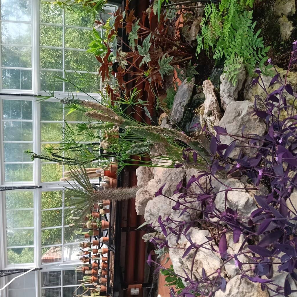 Victorian Conservatory