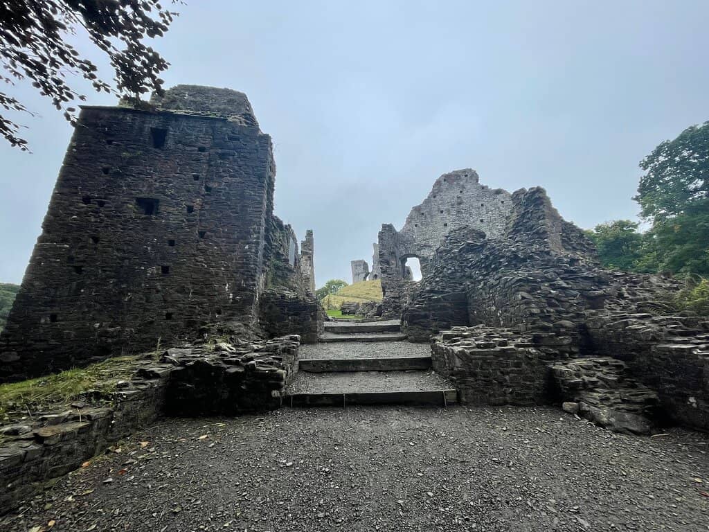 Woodland Walks & Meadow