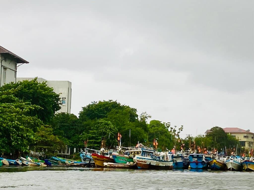 Local Fishing Culture