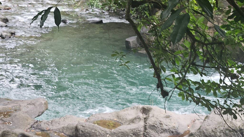 Local Vibe & Community