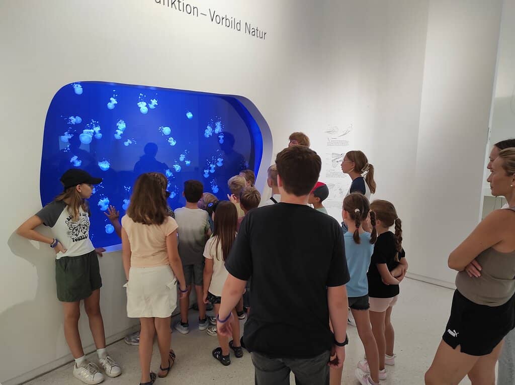 Taxidermy Collection