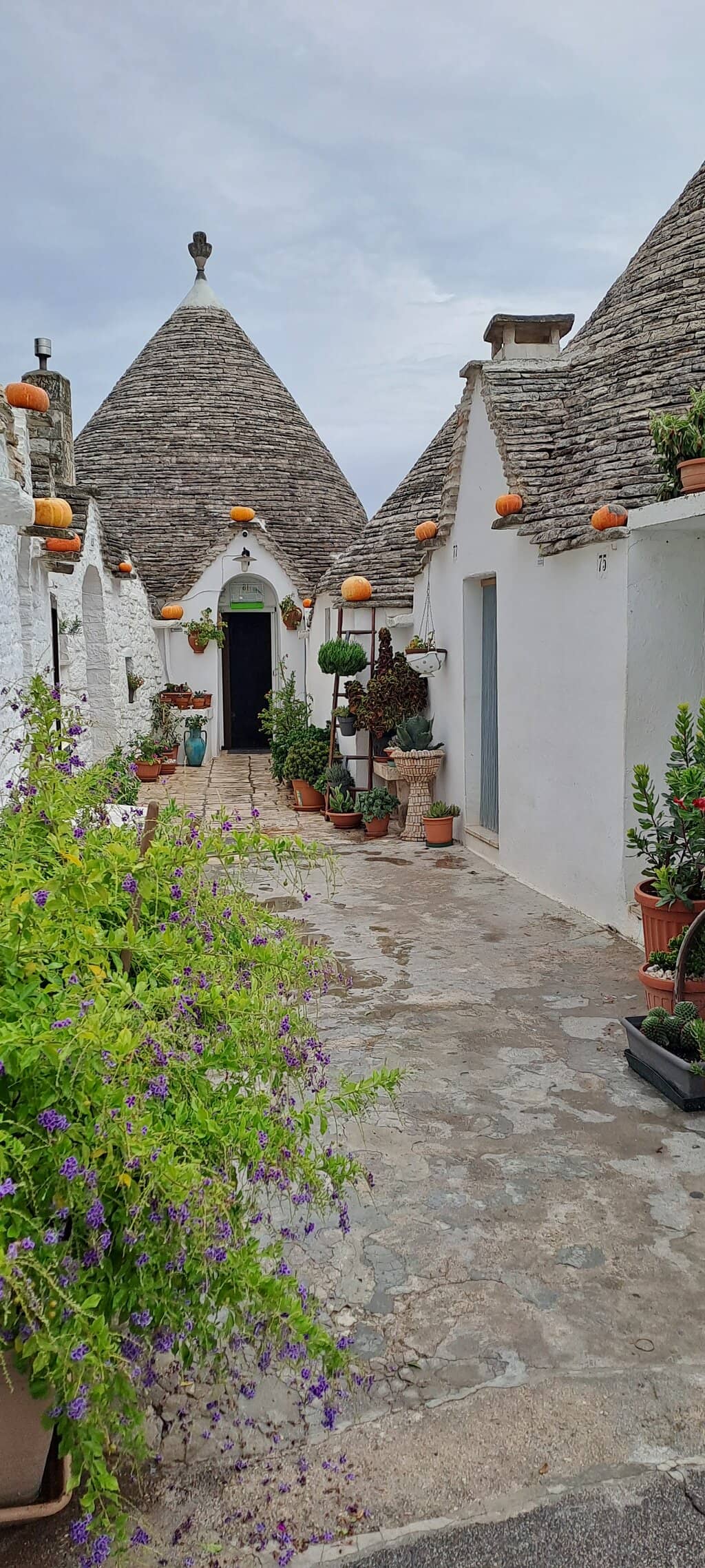 Trullo Siamese