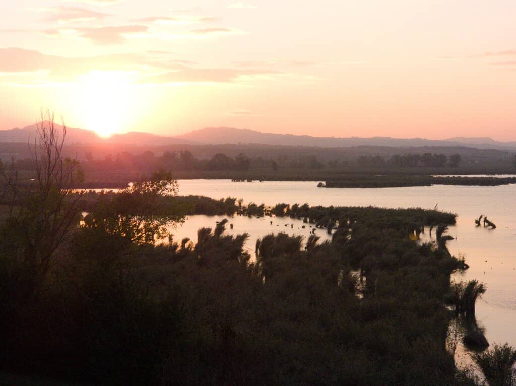 Tuscan Countryside Views