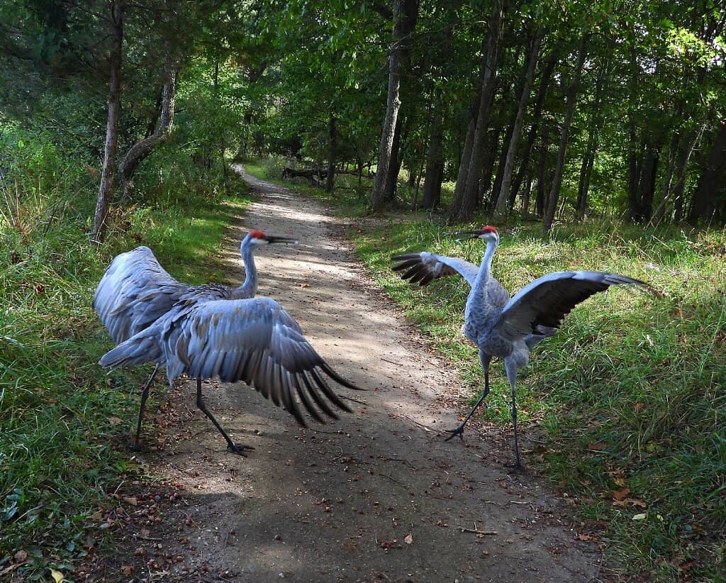 Kensington Farm Center