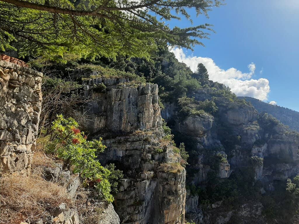 Vertical photo