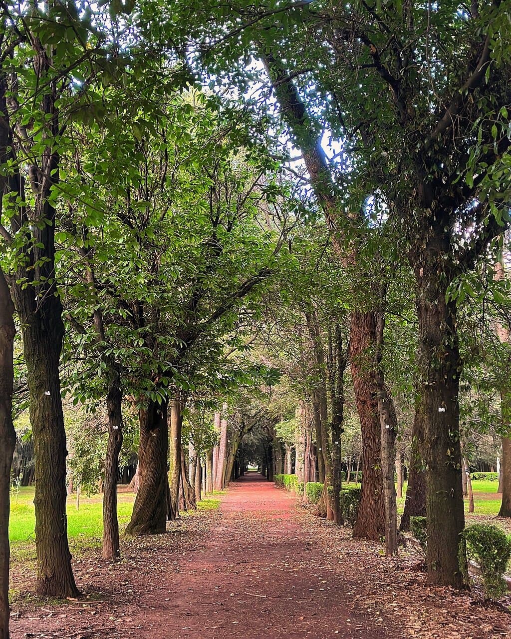 Viveros de Coyoacán
