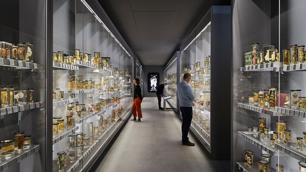 Gallery in the Hunterian Museum