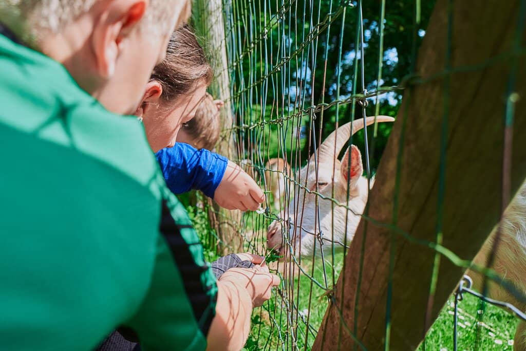 WWI Soldier Inscriptions