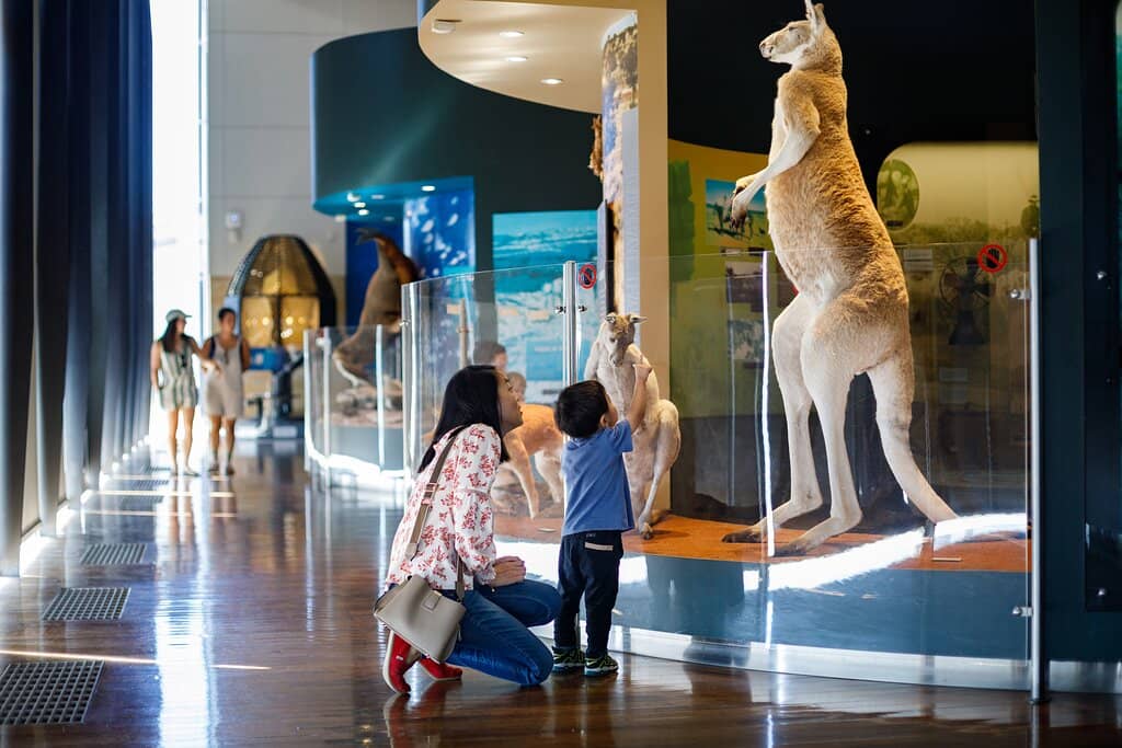 Local History & Natural Artifacts