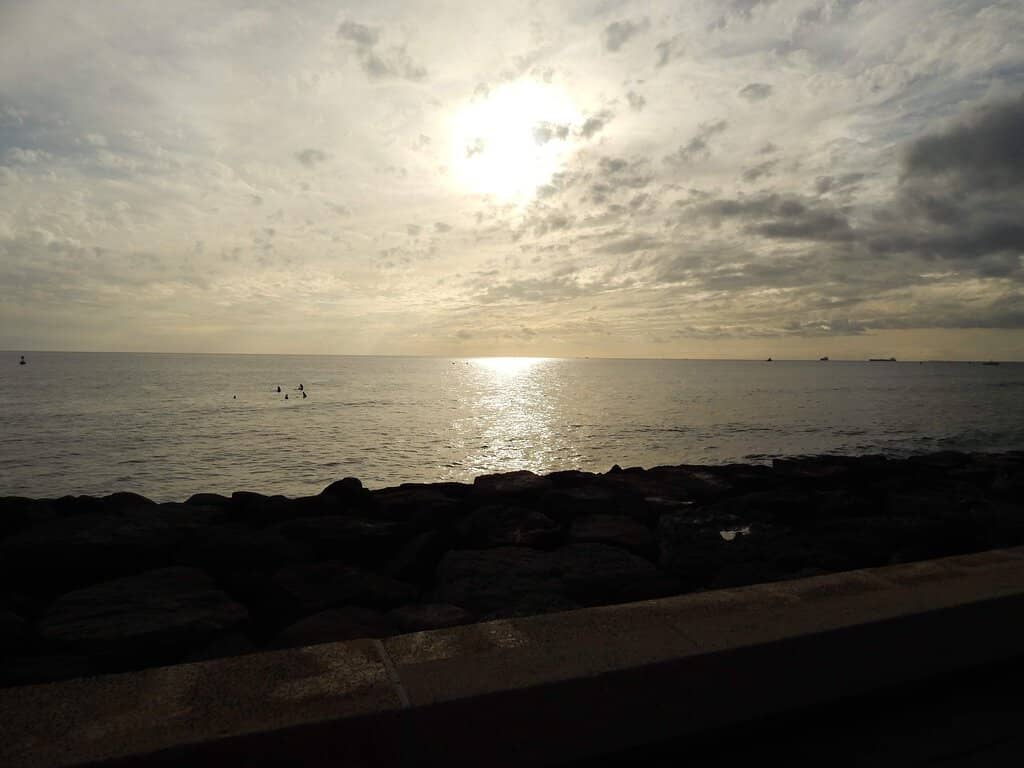 Wednesday Night Shuffle