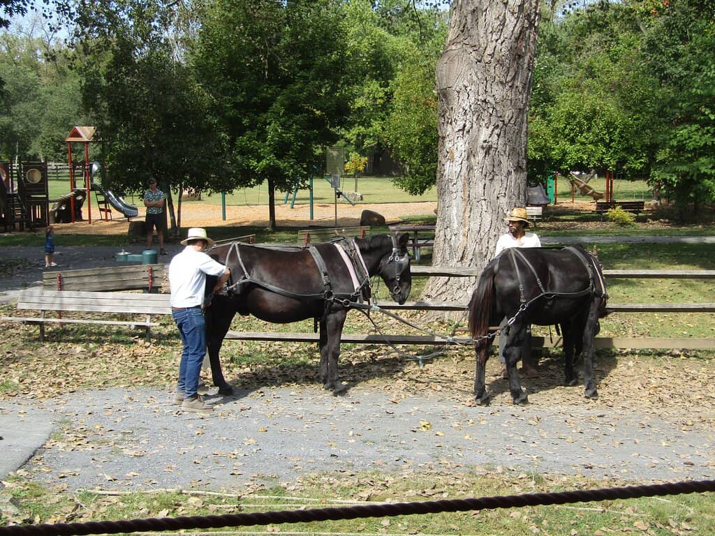 Interactive Engineering Exhibits