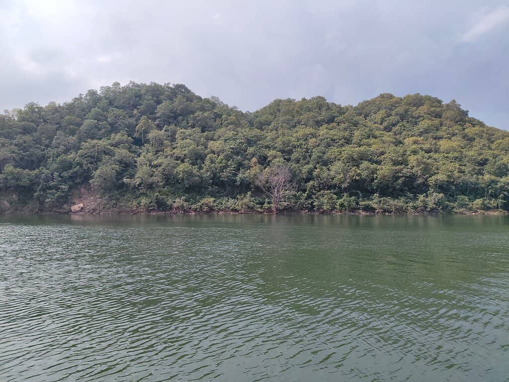 Ekta Dinner Cruise Experience