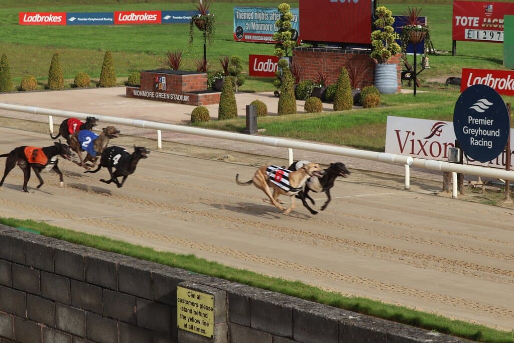 Racing action at Monmore