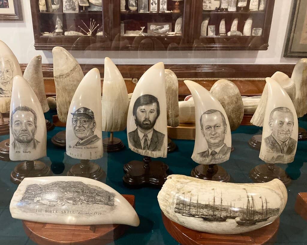 Engraved Sperm Whale Teeth