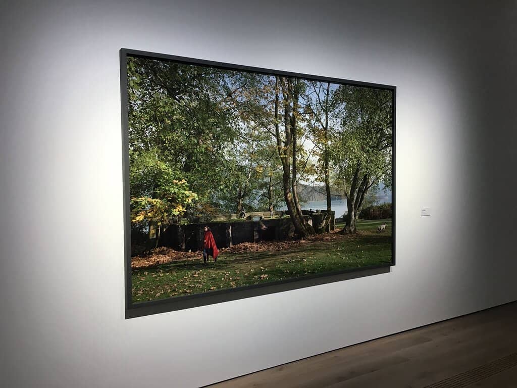 Curated Gallery Shop