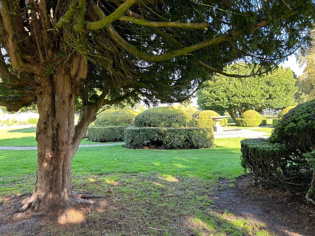 Playground & Zip Wire