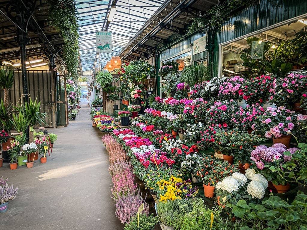 Craft & Curio Stalls