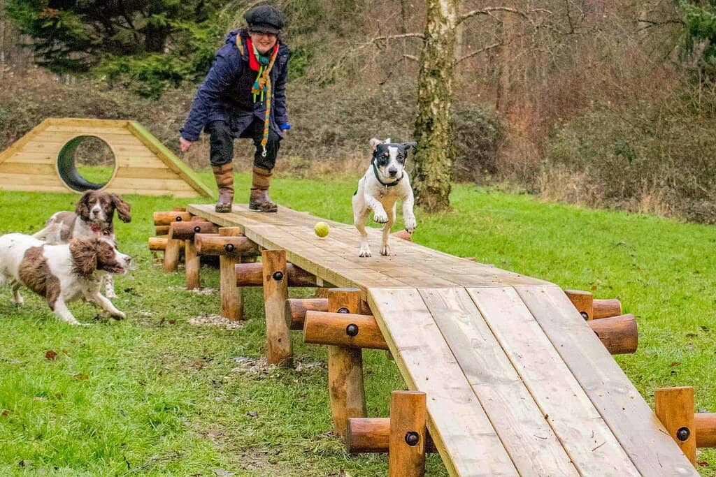 Scenic Lakeside Walks