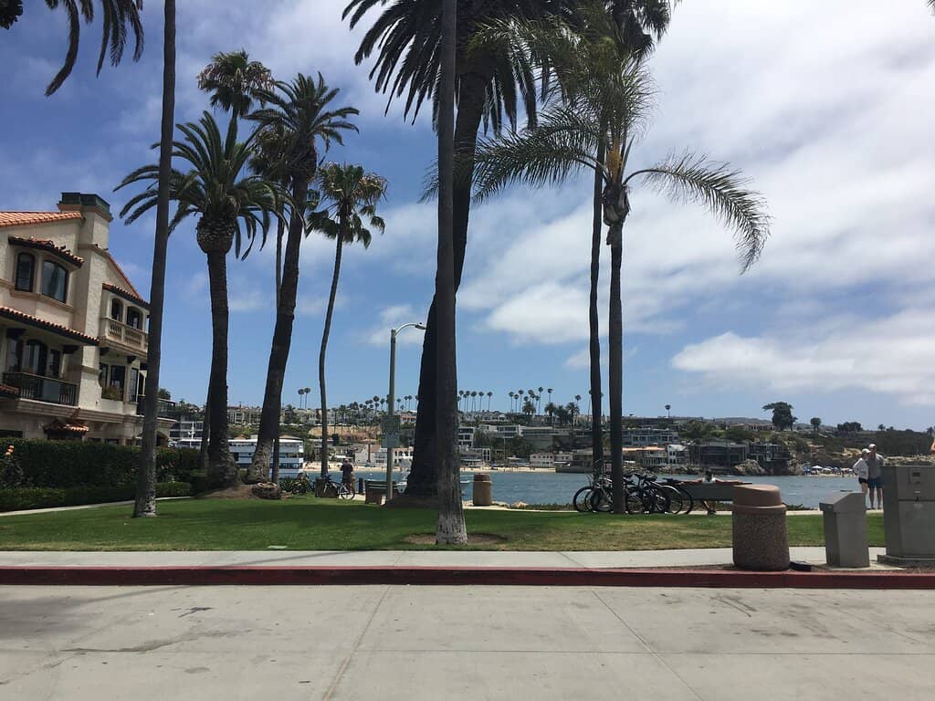 Expert Surfing and Bodyboarding