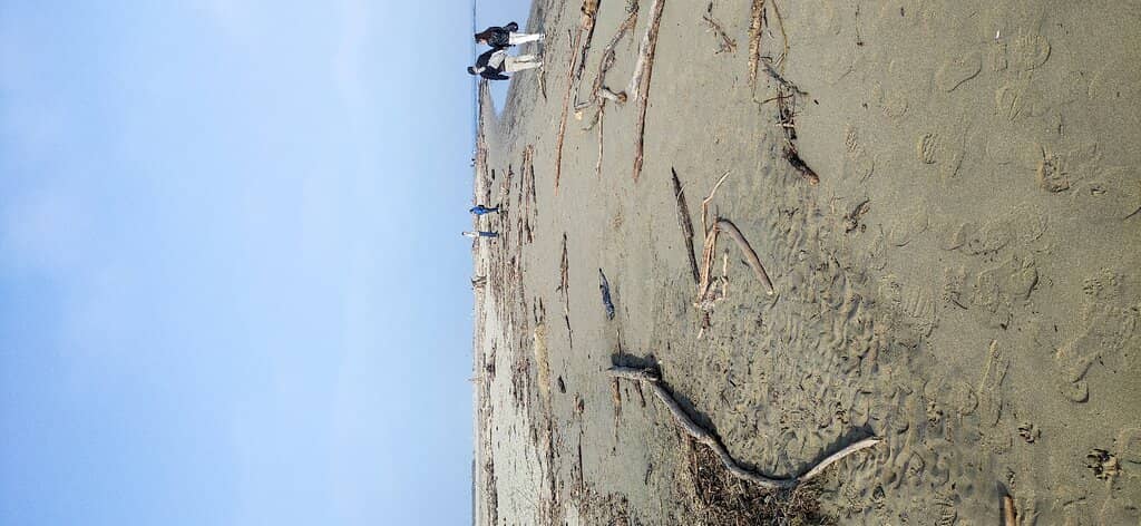 Lido degli Estensi Beach