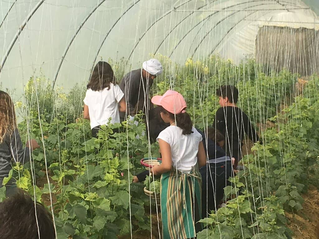 Roman Baths (Thermae)