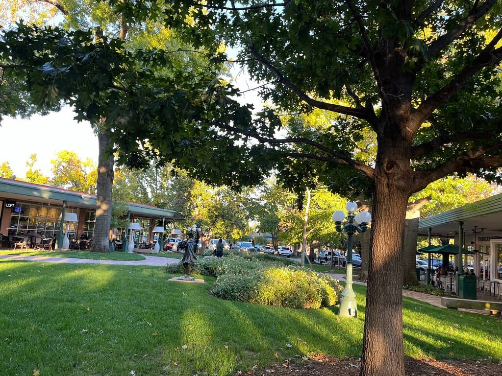 The Blooming Gardens