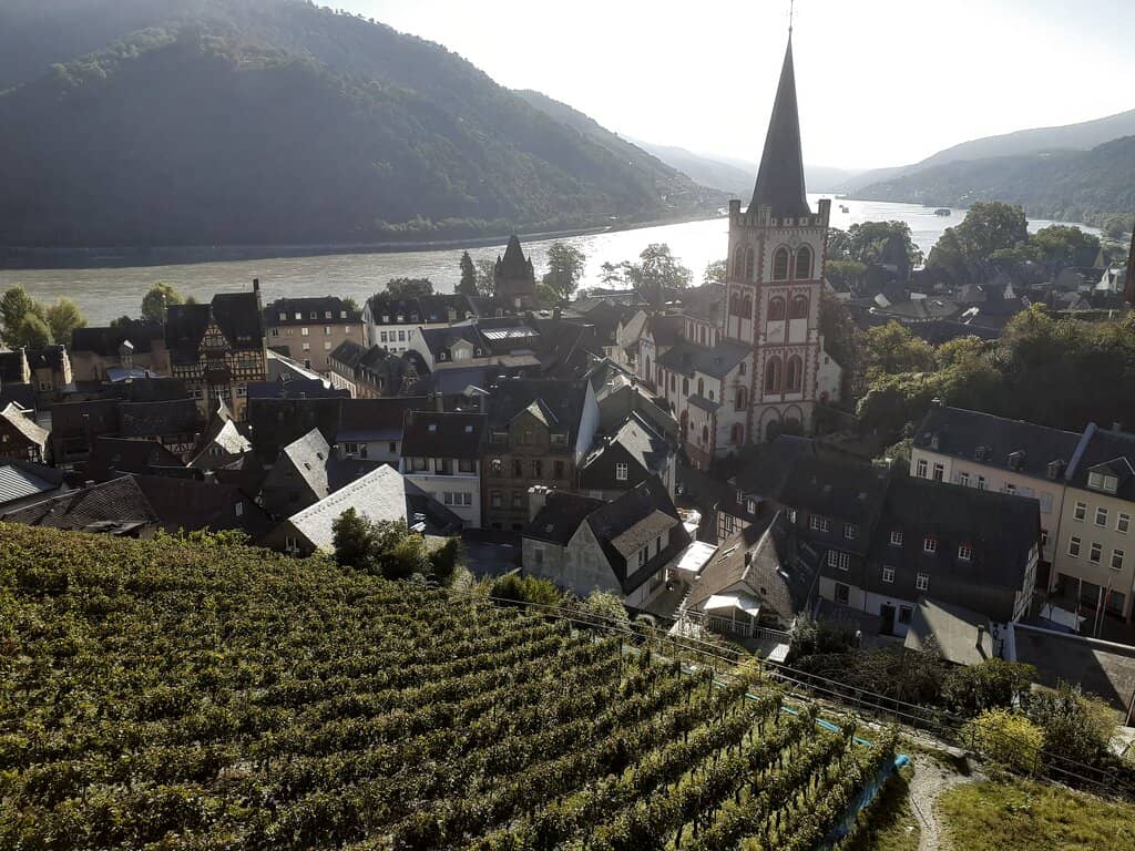 Rhine Valley Panorama
