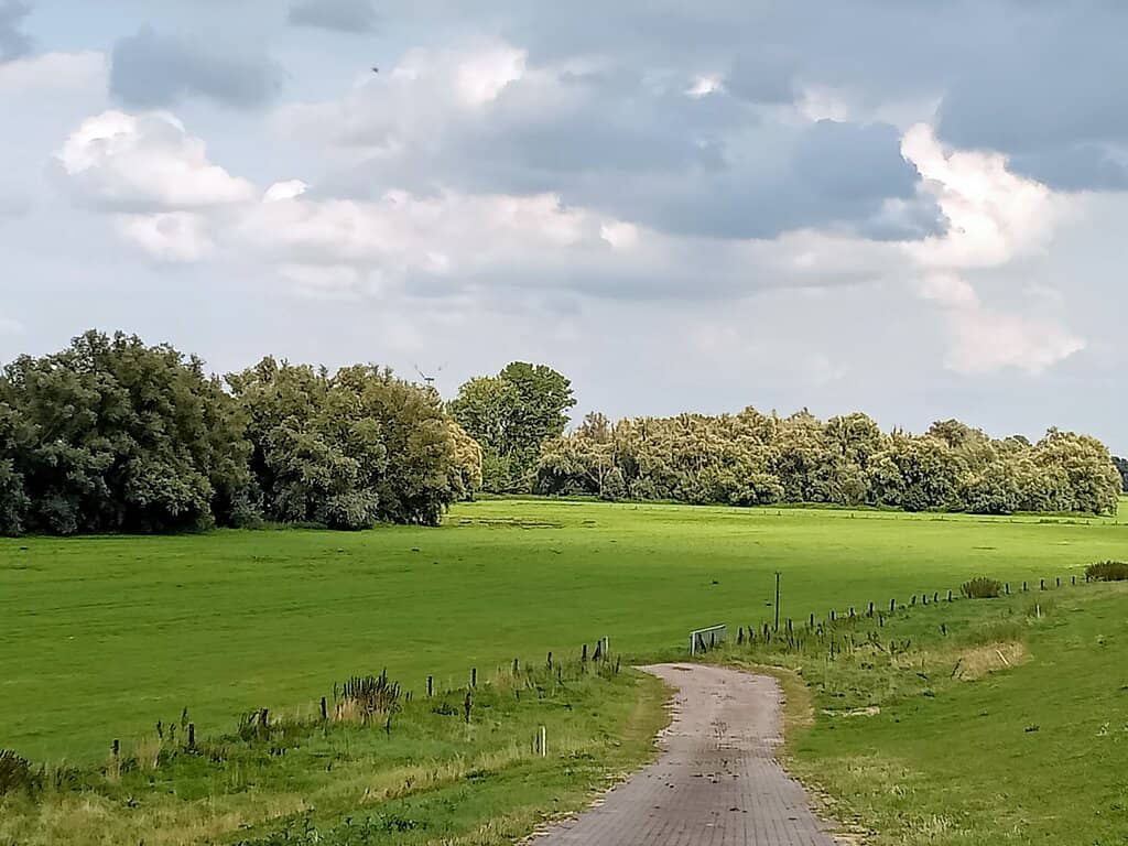 Cycling Paths