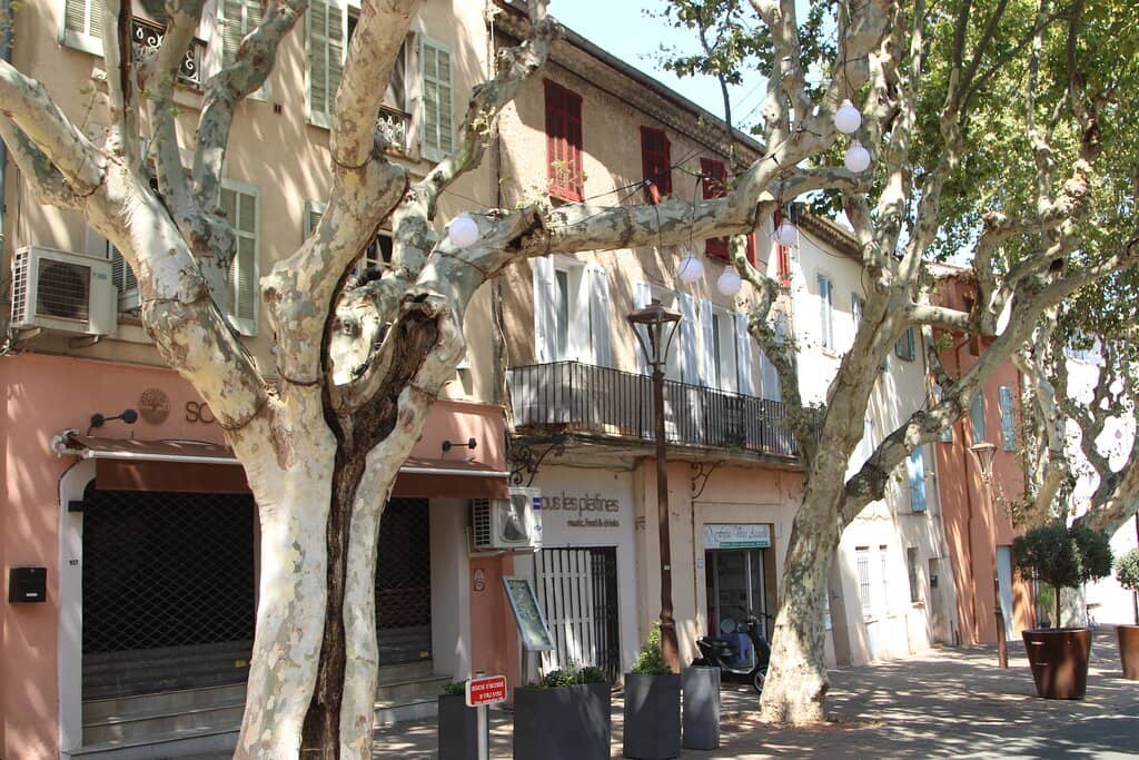 Saint-Léonce Cathedral