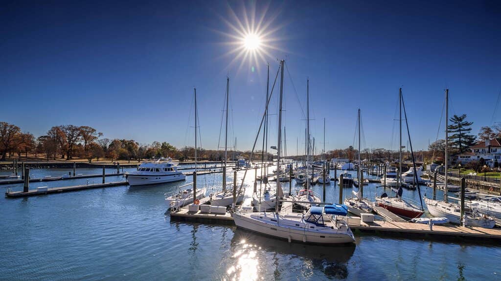 Waterfront Dining