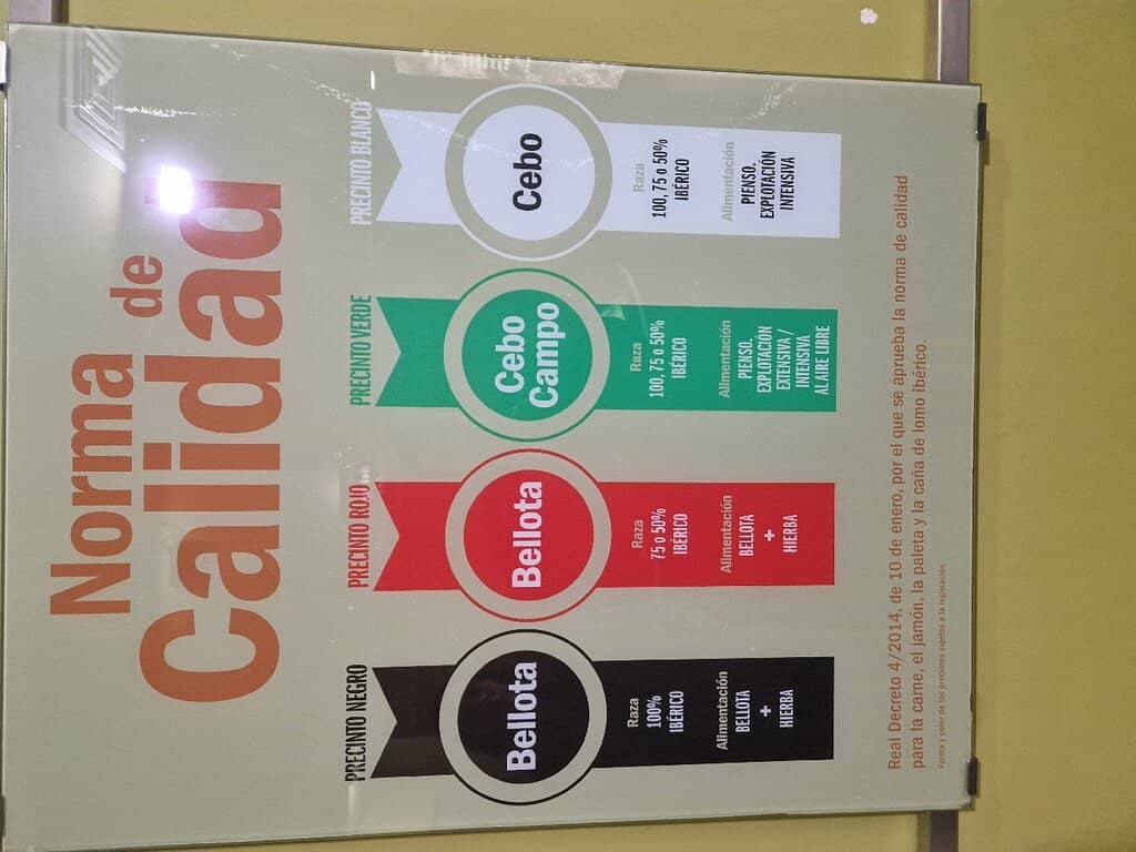 Iberian Pig's Journey