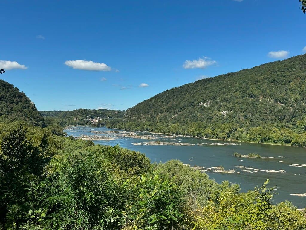 Summer Views