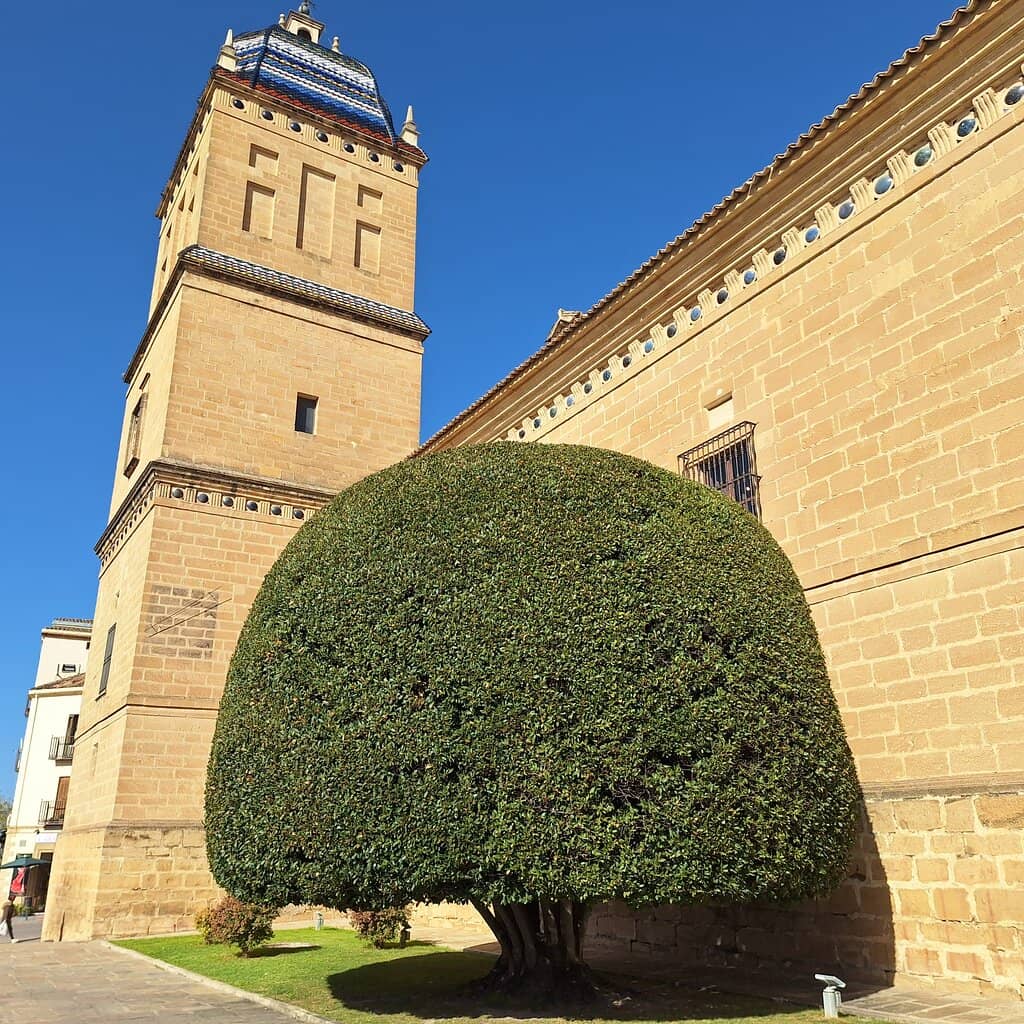 Temporary Exhibitions