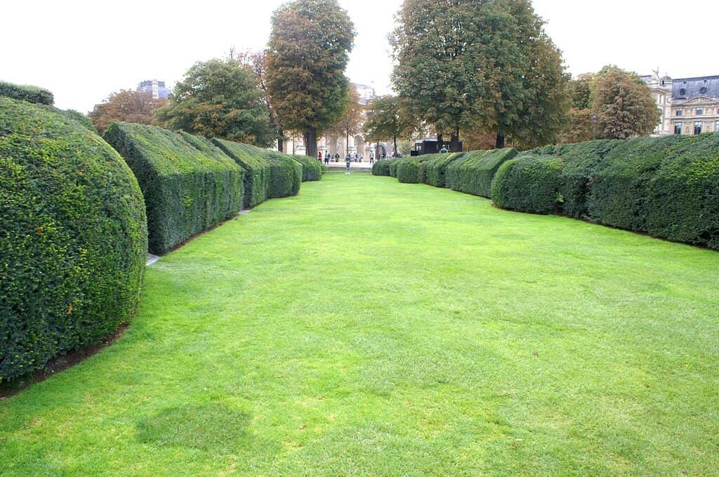 Proximity to Louvre
