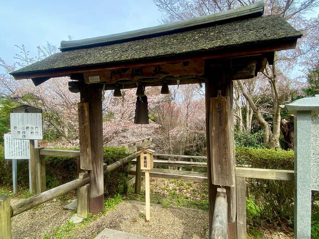 Serene Winter Ambiance