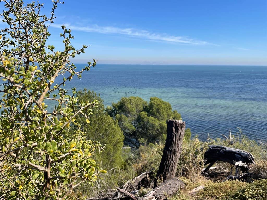 Derelict Jetty