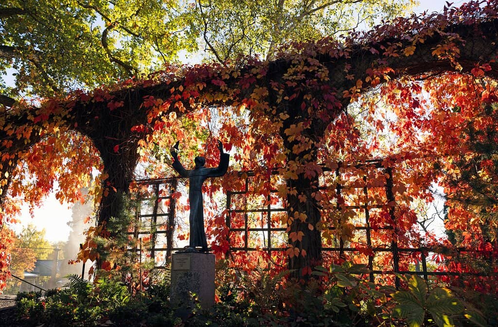Sculpture Gardens