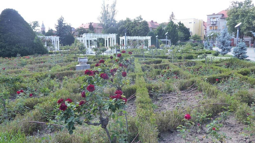 Event Stages & Amphitheaters