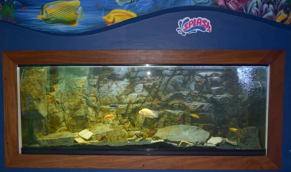 Thrilling Water Slides