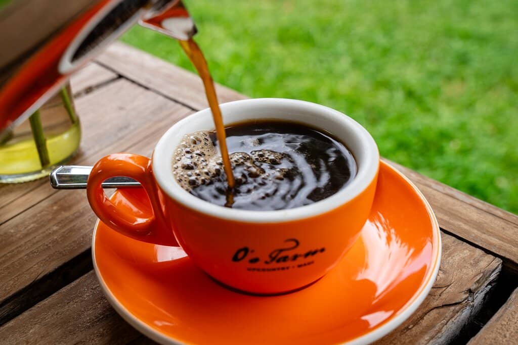 Farm-to-Table Brunch