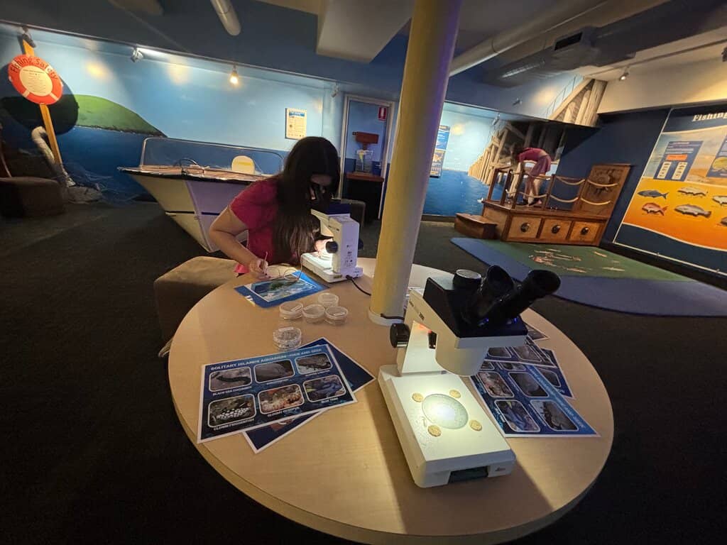 Interactive Touch Tank