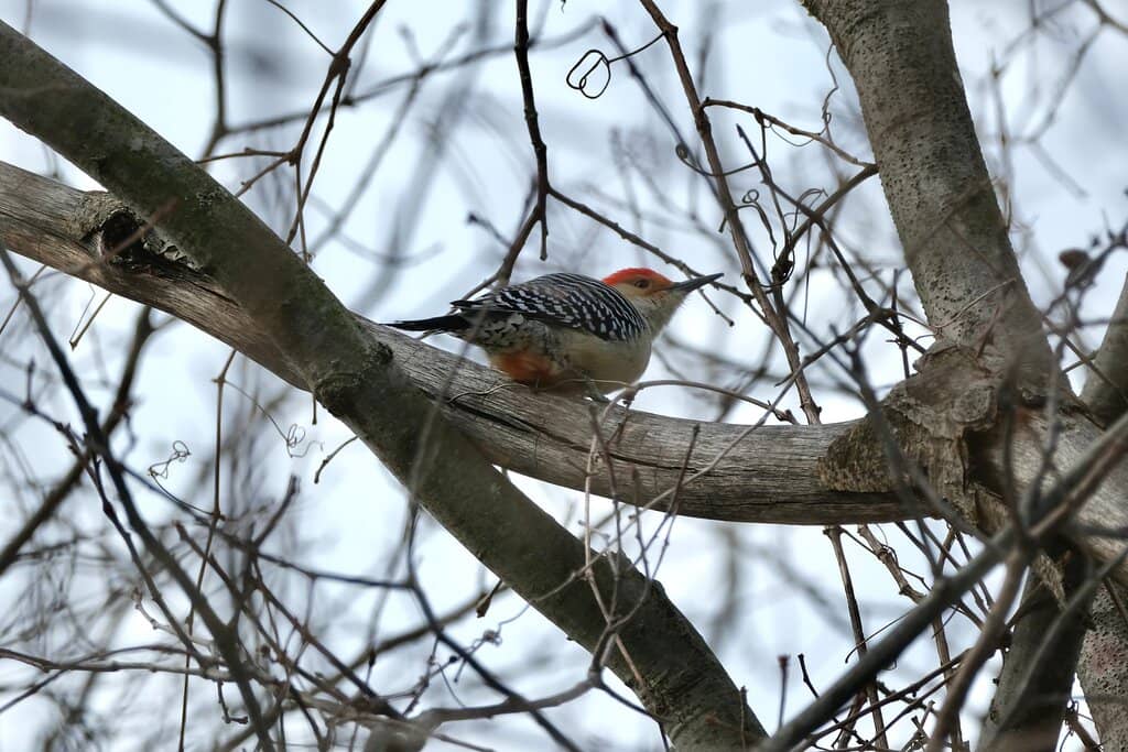 Waterfront Trail Access