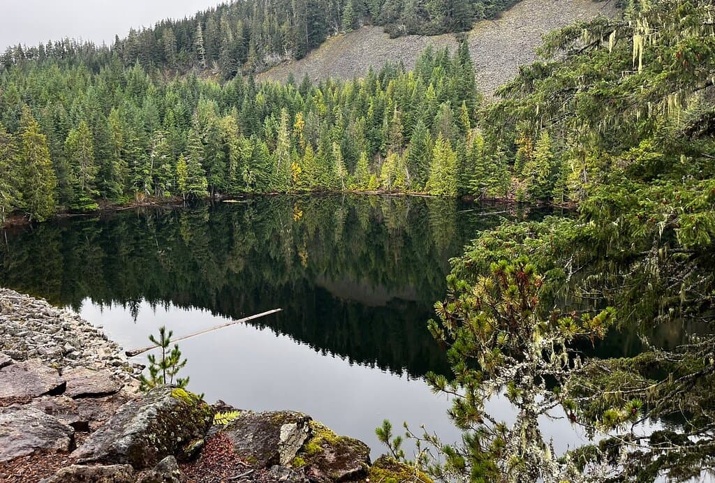 Loggers Lake