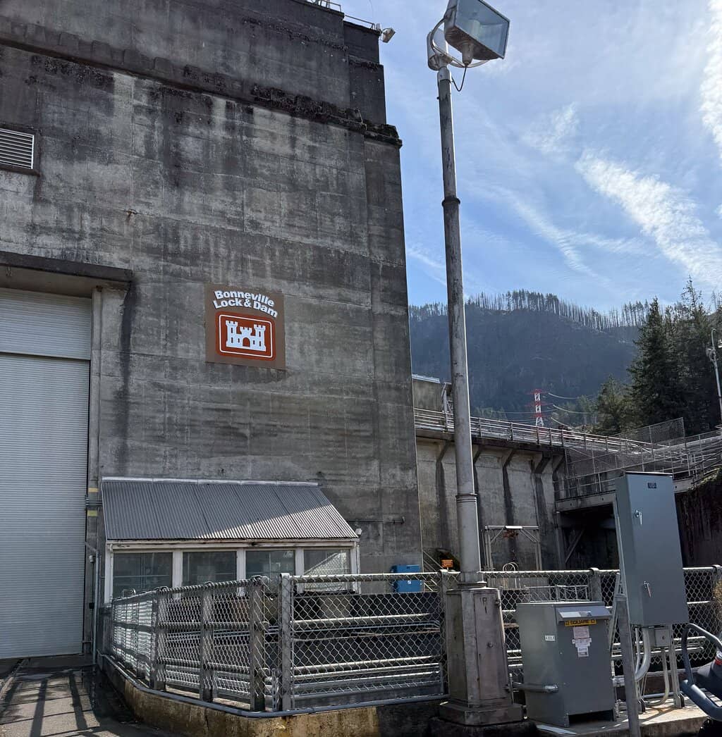 Interactive Exhibits