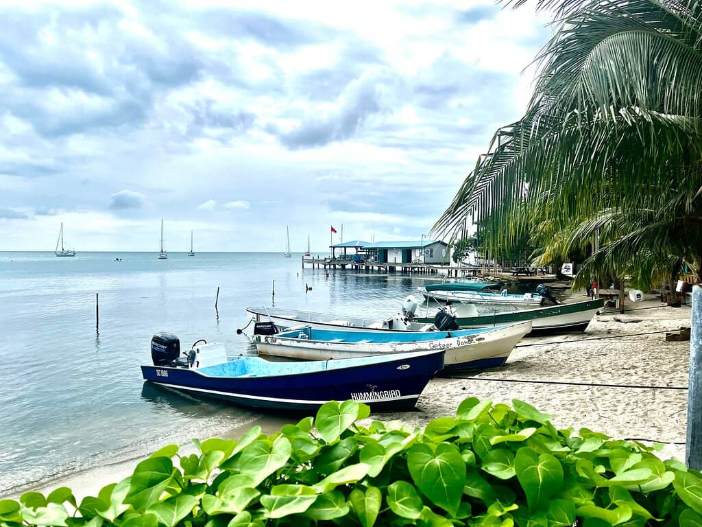 Calm Swimming Area