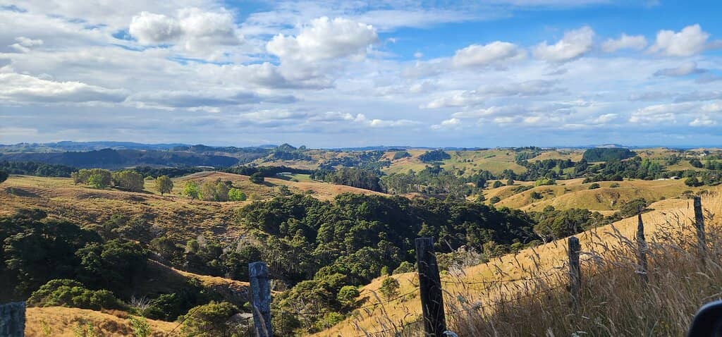 Nikau Cave Cafe Views