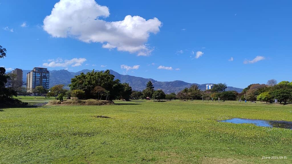 Light Cycles Experience