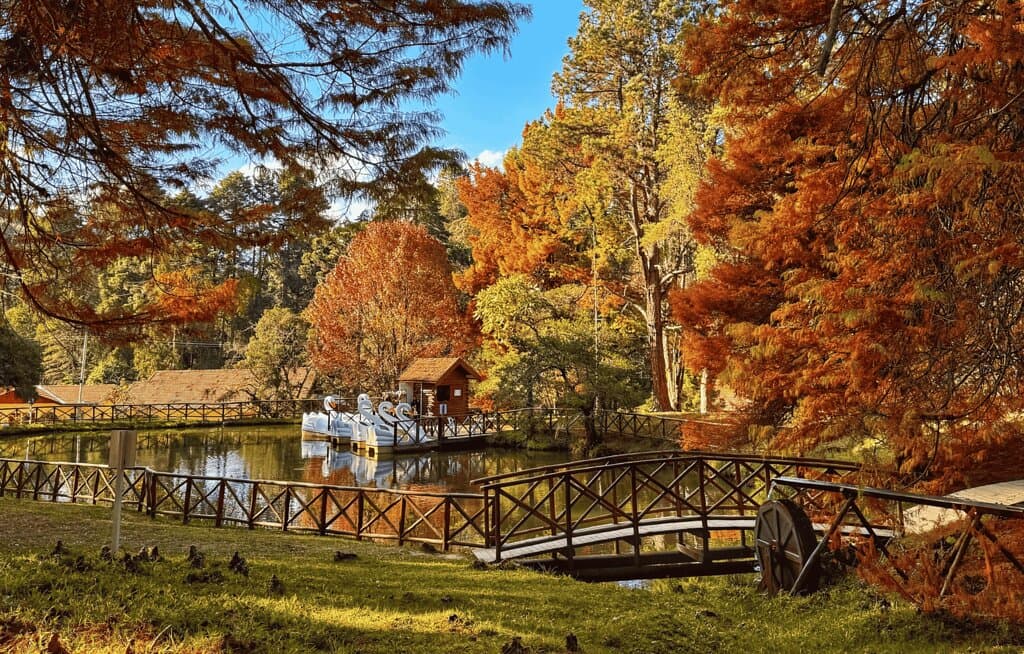Entre as árvores do parque, o outono é um convite para contemplar a beleza da transformação.