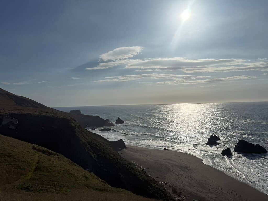 Bodega Head