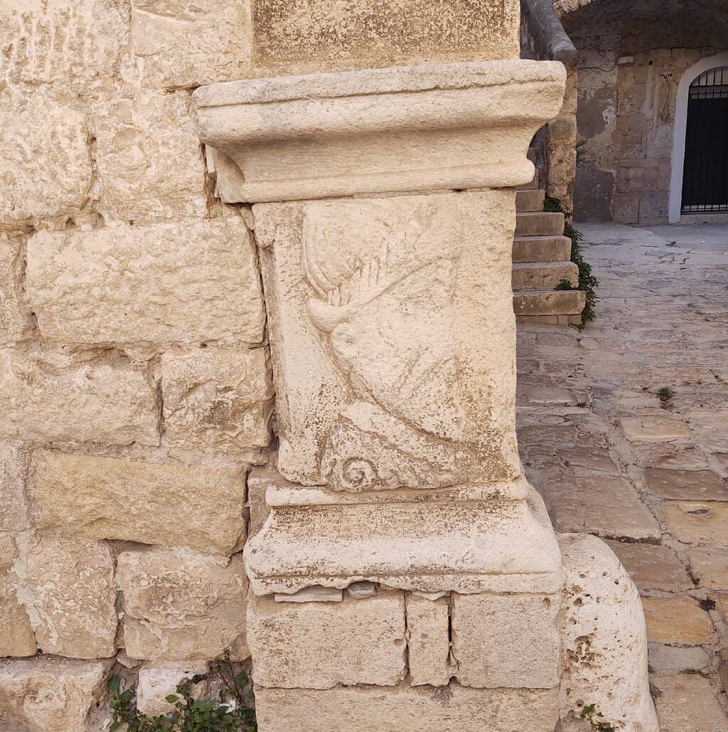 Vertical photo